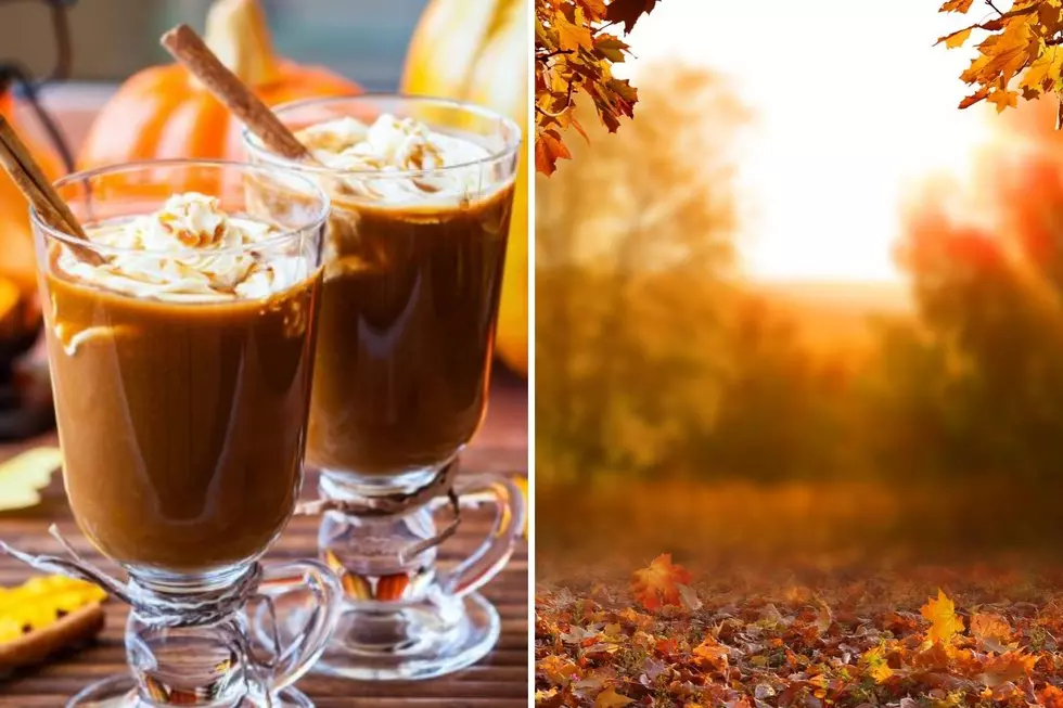 What Are You Looking Forward To Most This Fall: PSL or Weather?