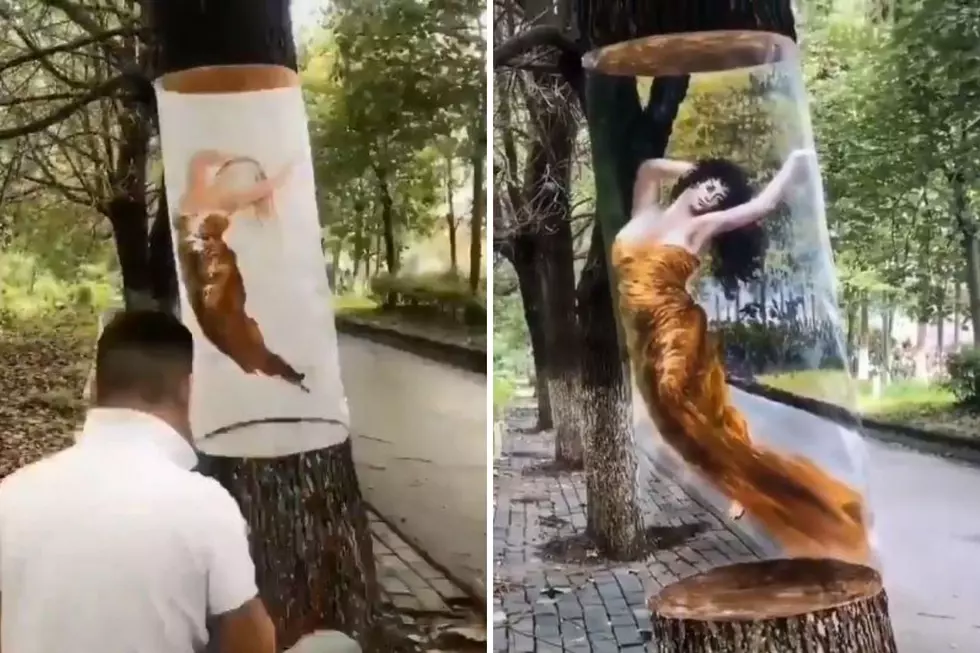 LOOK: Artist Creates Beautiful Optical Illusion Using A Tree