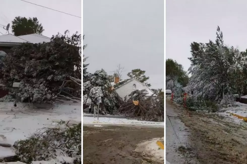 Resident Captures Video of The Winter Storm Aftermath In Green River