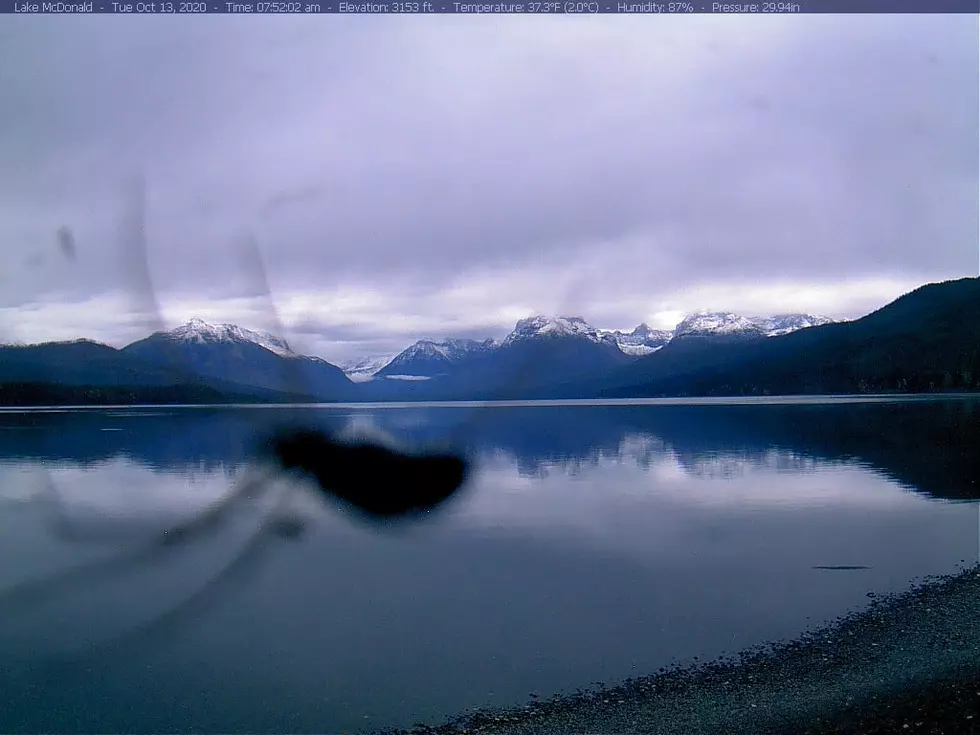 Spider Photobomb In Glacier National Park Is The Type of Thing To Fuel Nightmares