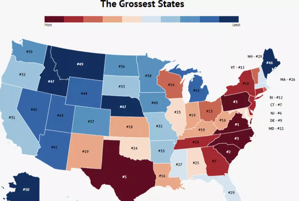The Grossest States in America Map