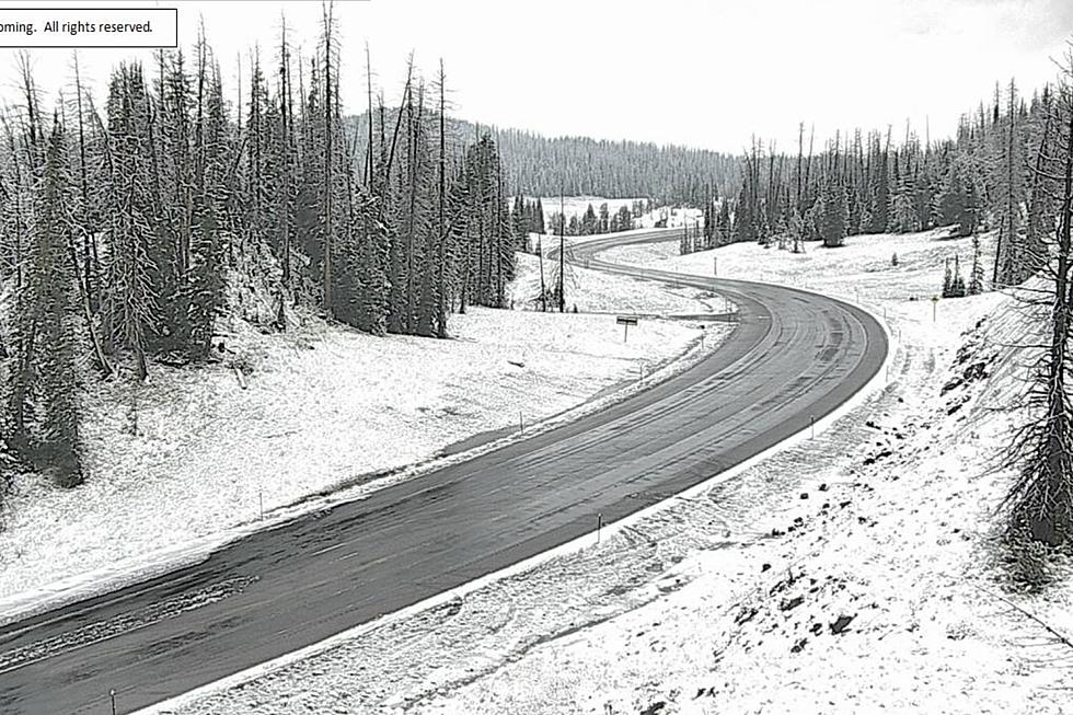 Wyoming Gets 'Minor' August Snow at Togwotee Pass