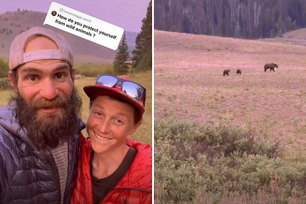 WATCH: Couple Hiking Through Wyoming Give Tips for Bear Safety