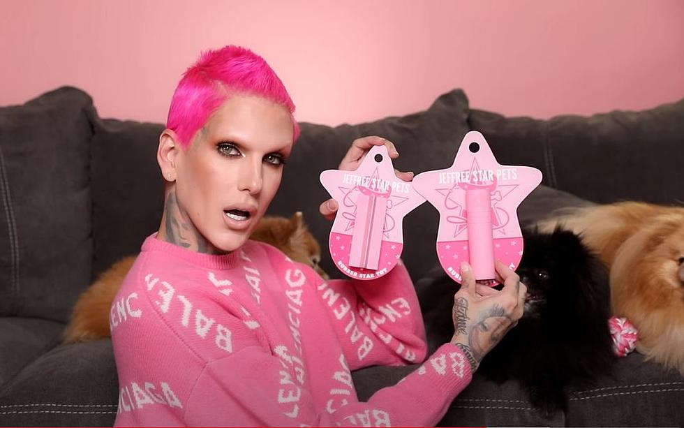 LOOK: Jeffree Star has a New Pet Line Dropping on Black Friday