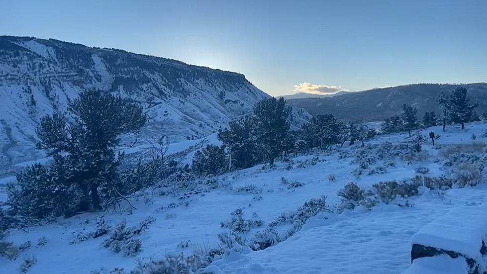 LOOK: Winter Has Officially Arrived In Yellowstone National Park