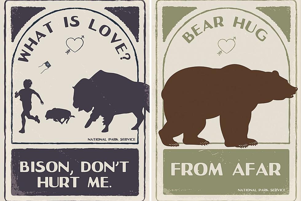 National Park Service Shares Hilarious Valentine’s Day Cards
