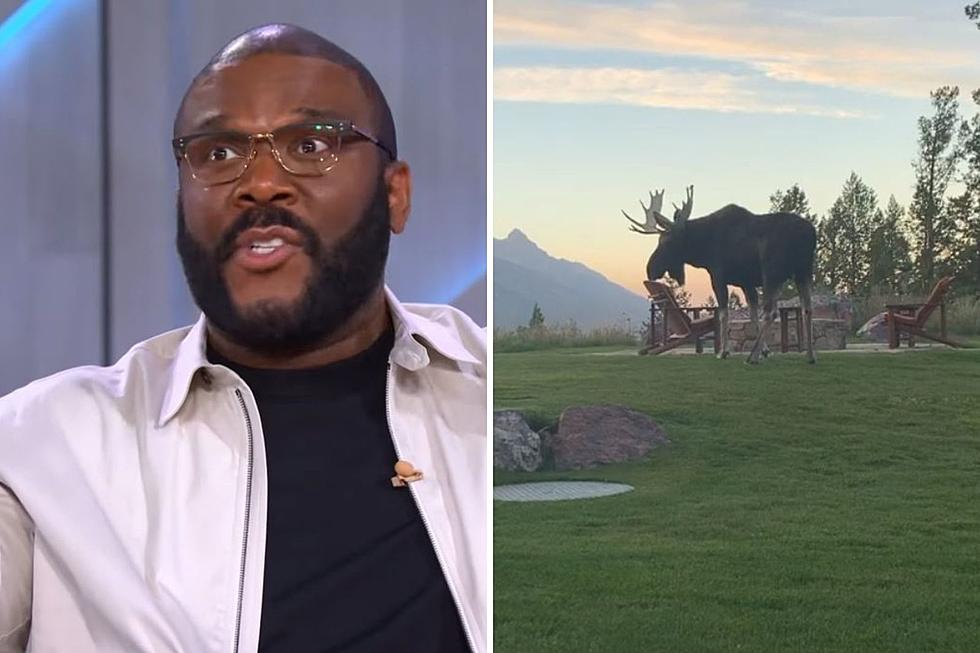 WATCH: Tyler Perry Talks About Funny Moose Encounter at His Wyoming Home