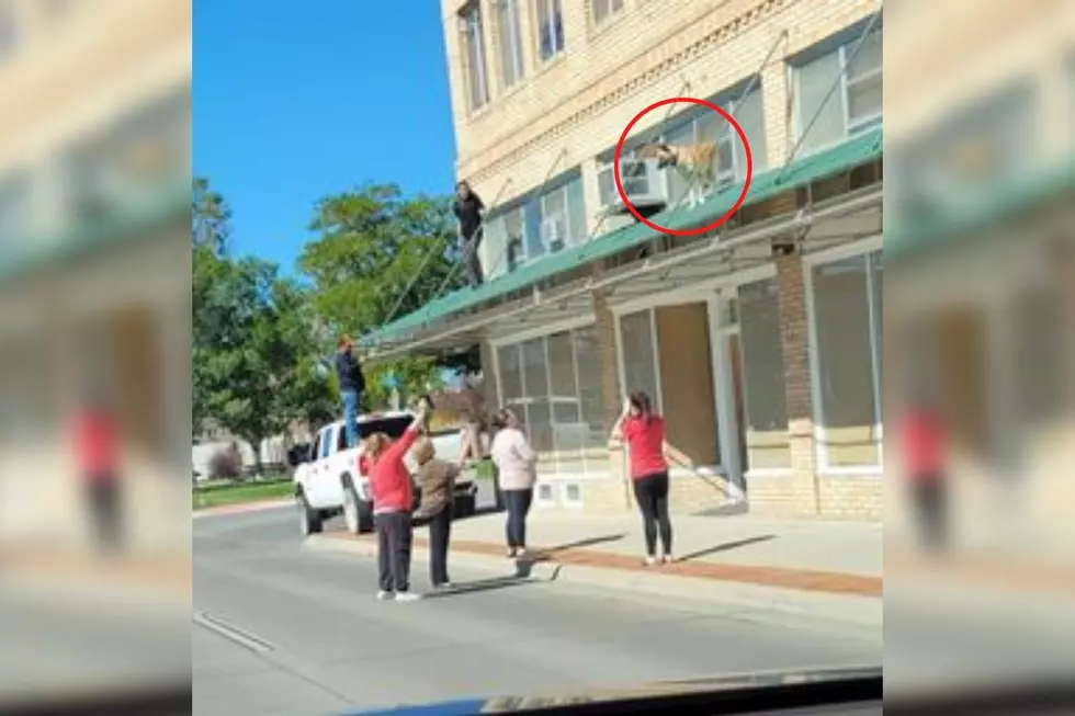 LOOK: Dog Safely Recovered From Awning in Casper by Good Samaritans