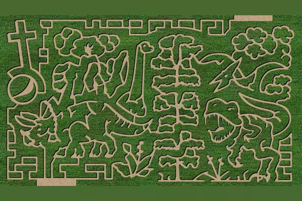 The ‘Green Acres Corn Maze’ Returns to Natrona County This Weekend