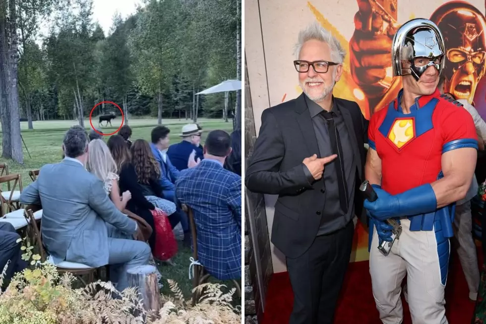 LOOK: Marvel Movie Director James Gunn’s Colorado Wedding Crashed By Moose