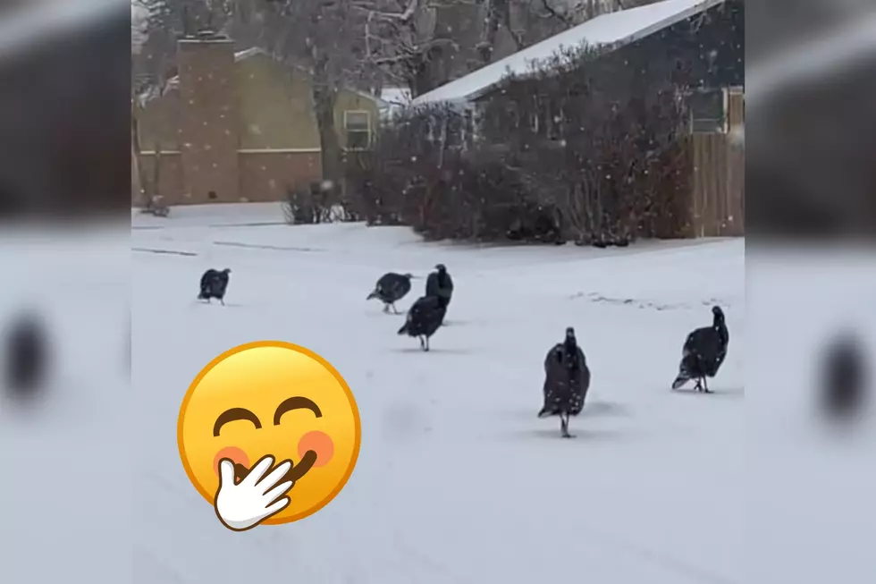 WATCH: Thomas Gobbles Gang Showing Their Force Comes From Numbers