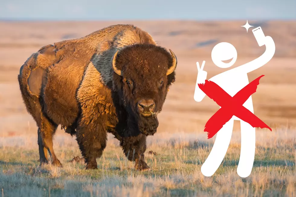 Hilarious ‘Common Sense’ Message from the National Park Service Is Going Viral