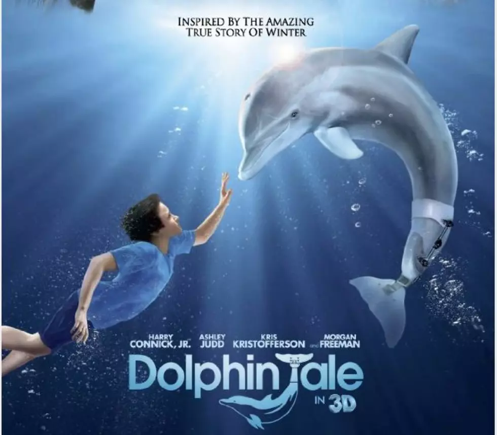 Win A Dolphin! (Or At Least Tickets To See A Movie About One!)