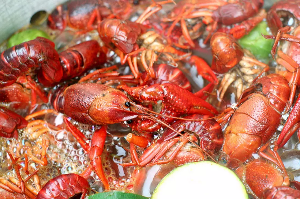 Lake Charles Downtown Crawfish Festival This Weekend! [VIDEO]
