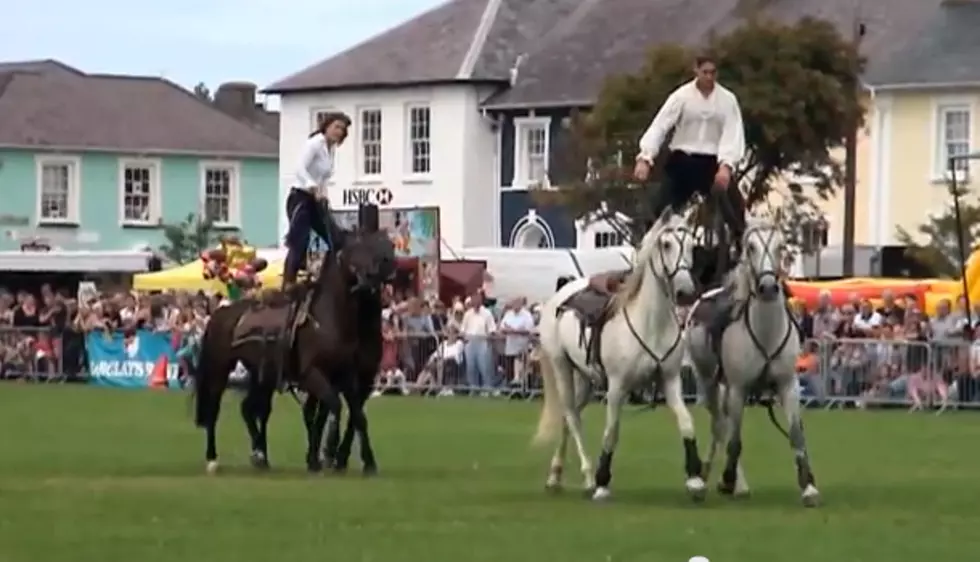 Amazing Horses in Stunts and Jumps[VIDEO]