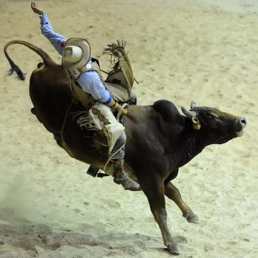 2014 Houston Livestock Show and Rodeo Entertainment Line Up [Video]