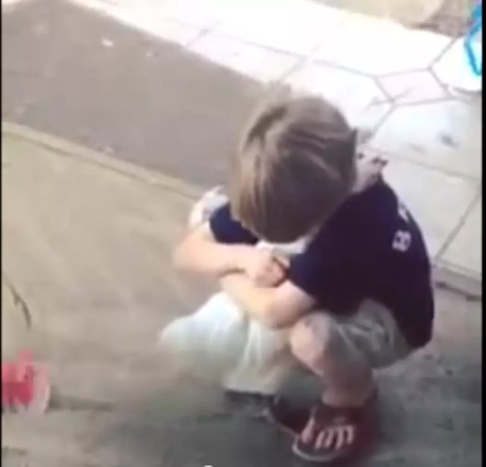 Pure Love : Boy And Chicken [VIDEO]