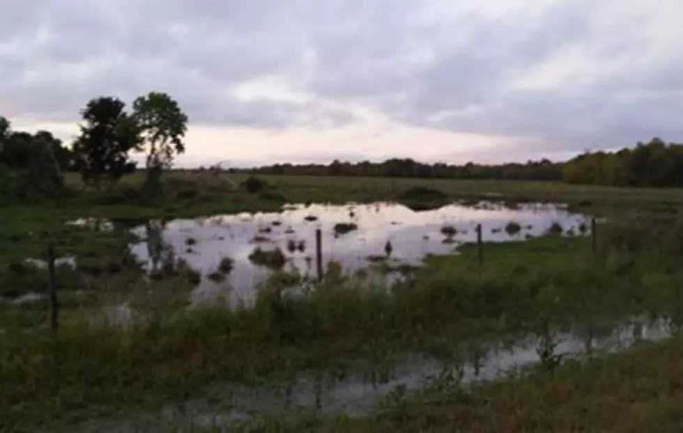 The Week Choupique Turned Into A Swamp