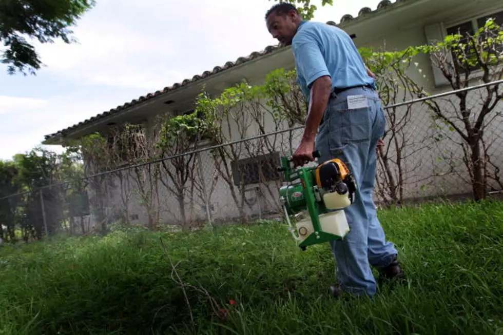 Pest Control Inspects For Mosquitoes, As Case Of Dengue Fever Found In FLA