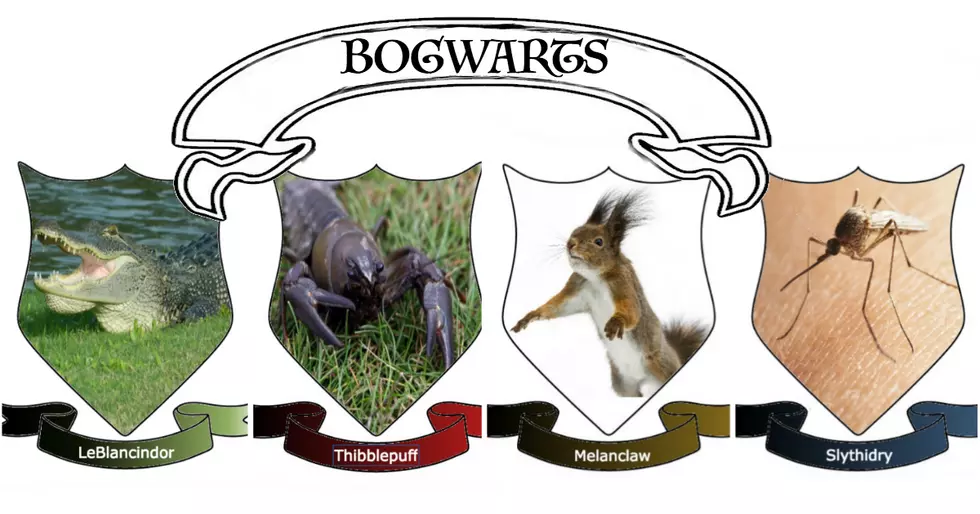 What’s Your Cajun Hogwarts House?