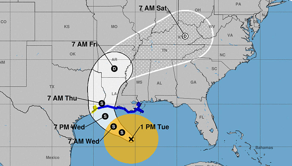 Tropical Storm Cindy Forms