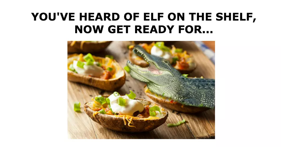 Which Is Better: Elf on the Shelf, or Gator in a Tater?