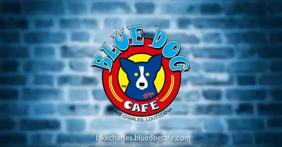 Blue Dog Cafe in Lake Charles, Officially Closed