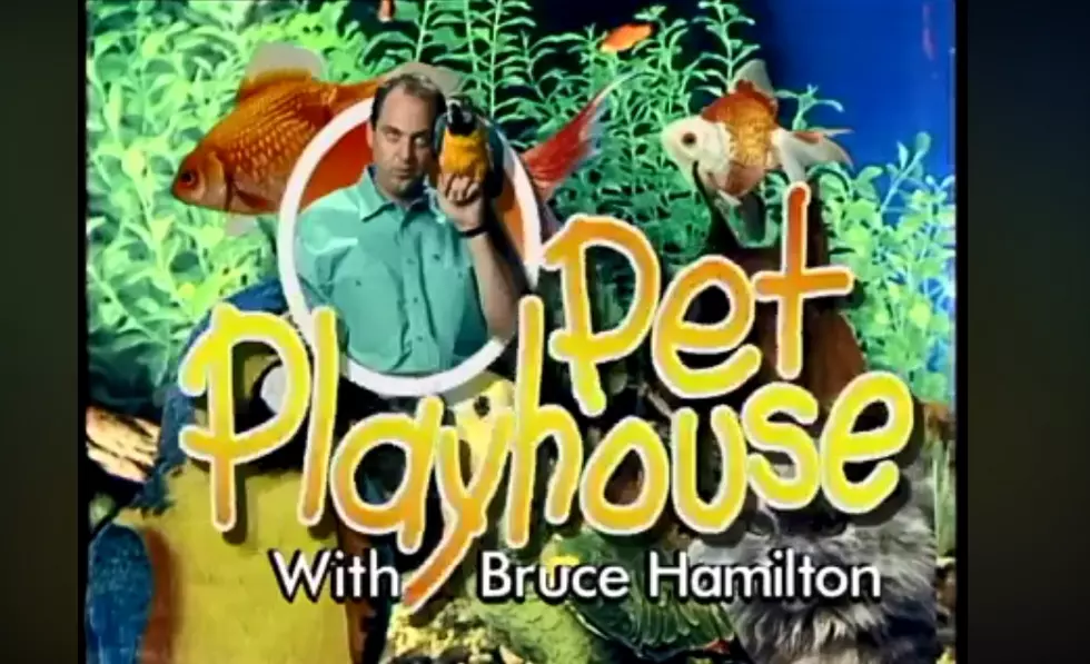 How About Some Pet Playhouse Nostalgia For Your Monday?