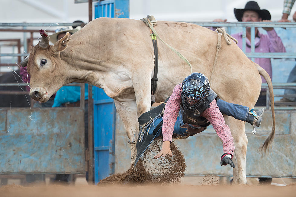 It&#8217;s Rodeo Time in Orange, TX!