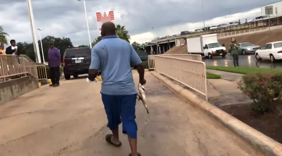 Man Catches Fish While Eating Whataburger During The Flood