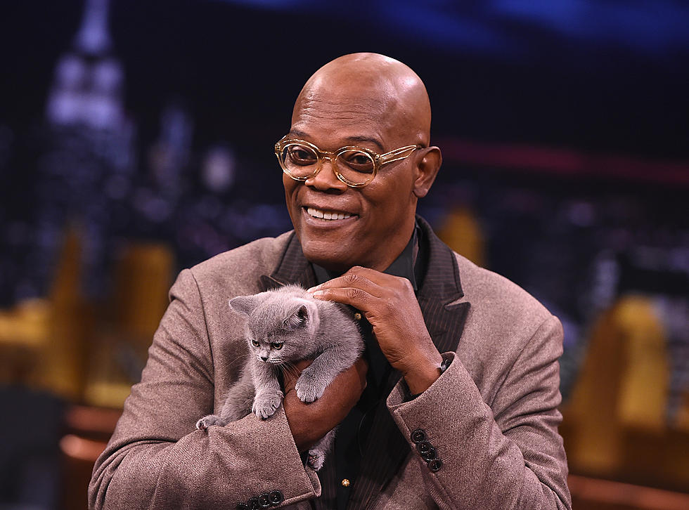 Samuel L. Jackson Will be a New Voice for Alexa