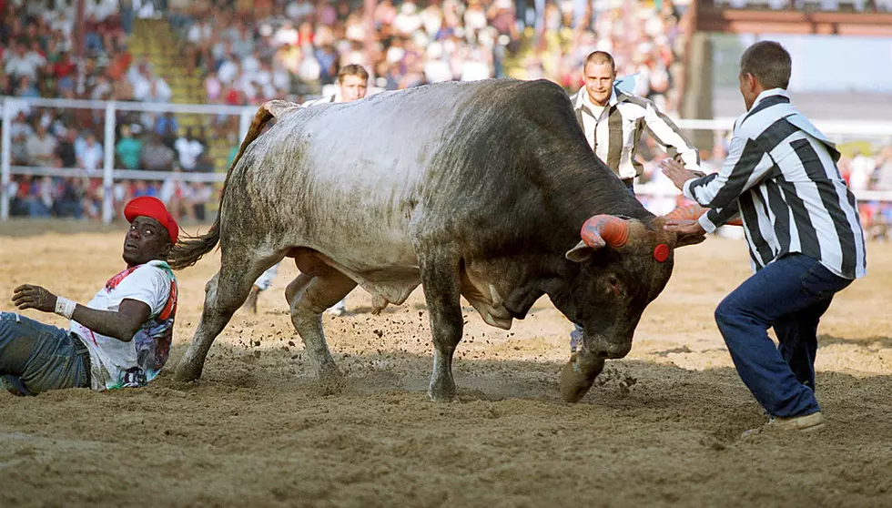 VIDEO: Bull Jumps Fence and Gets Loose in Crowd at Florida Rodeo