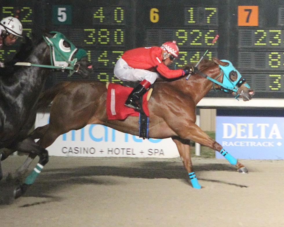 Live Quarter Horse Racing Begins May 10 in Vinton