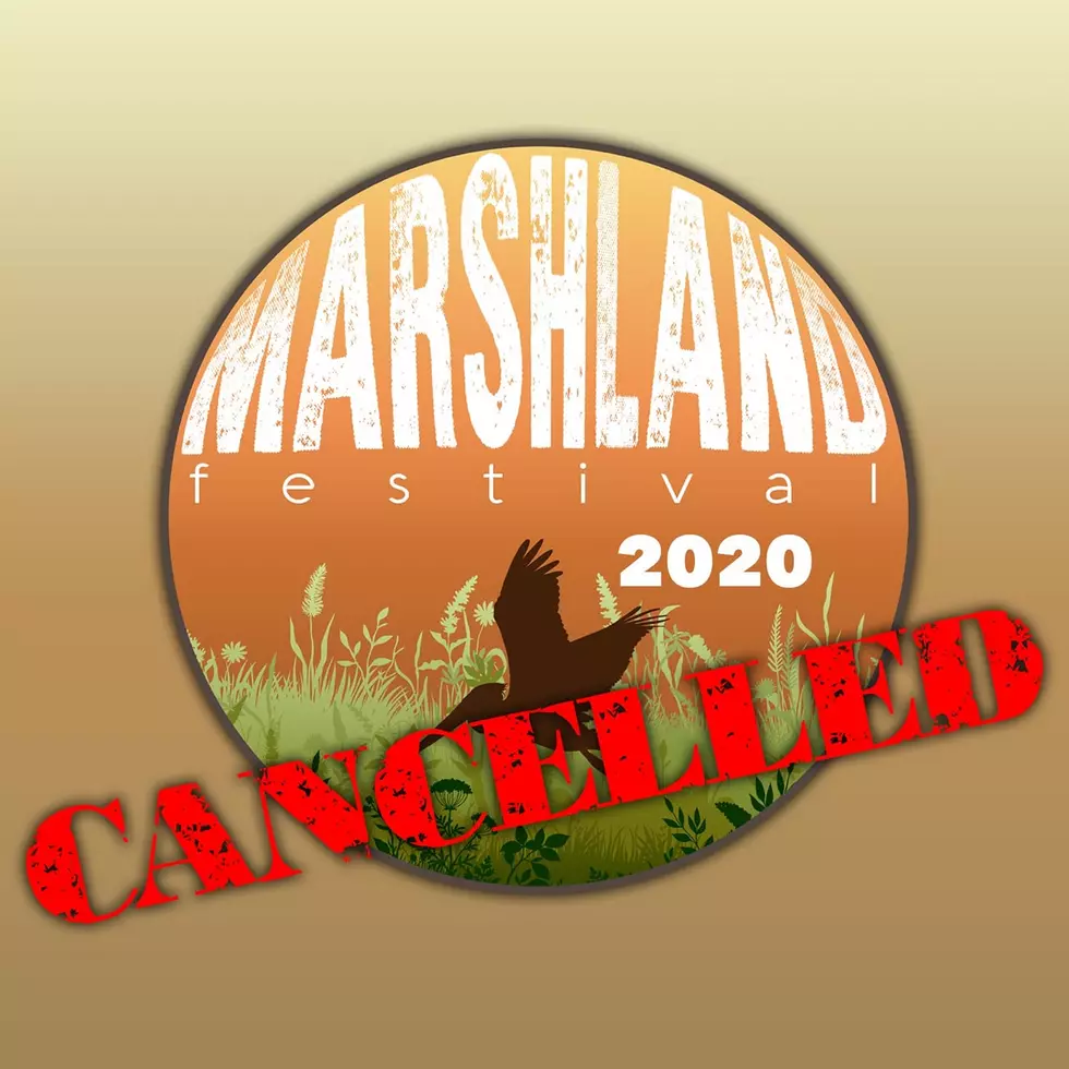 2020 Marshland Festival Canceled This Year