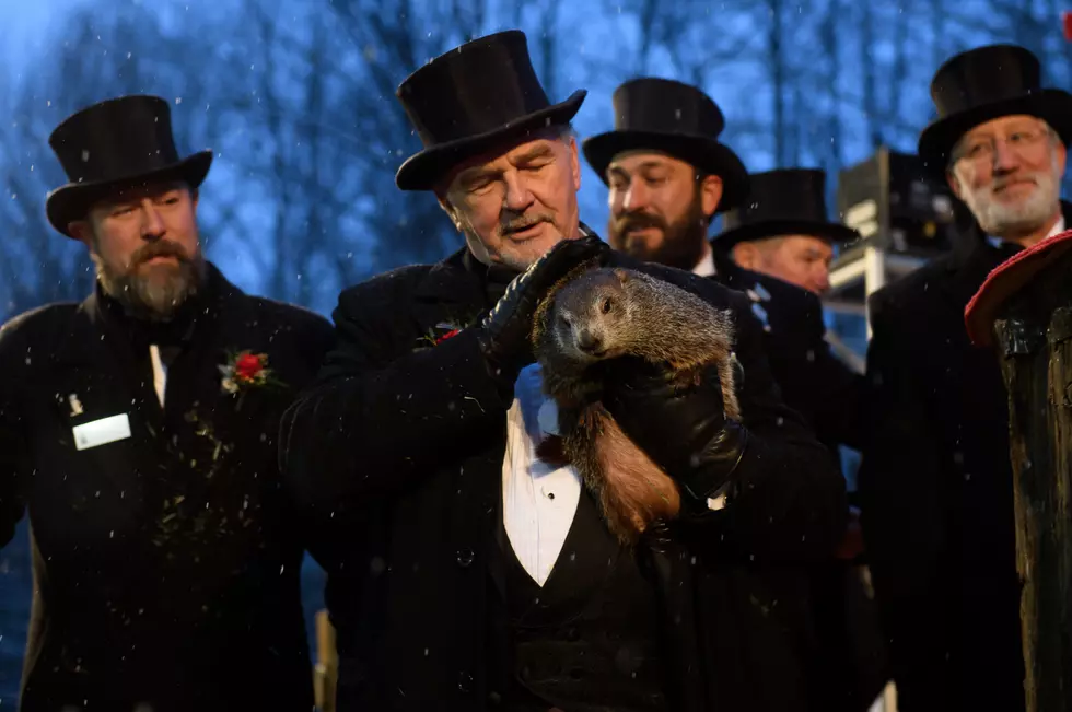 It’s Groundhog Day! Did He See His Shadow Or Not? [VIDEO]
