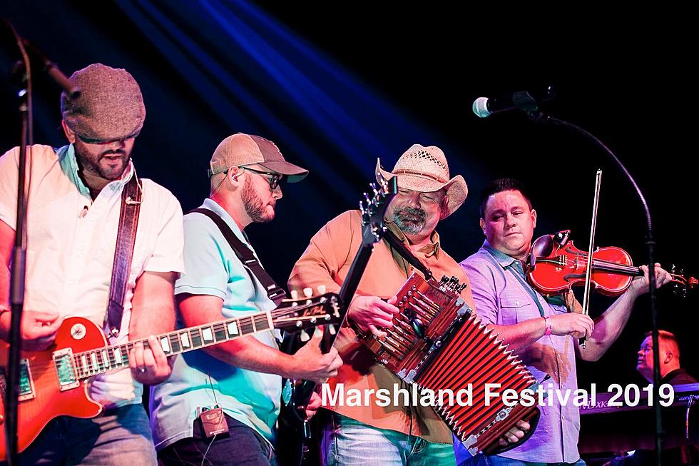 Marshland Festival Pictures of Years Past