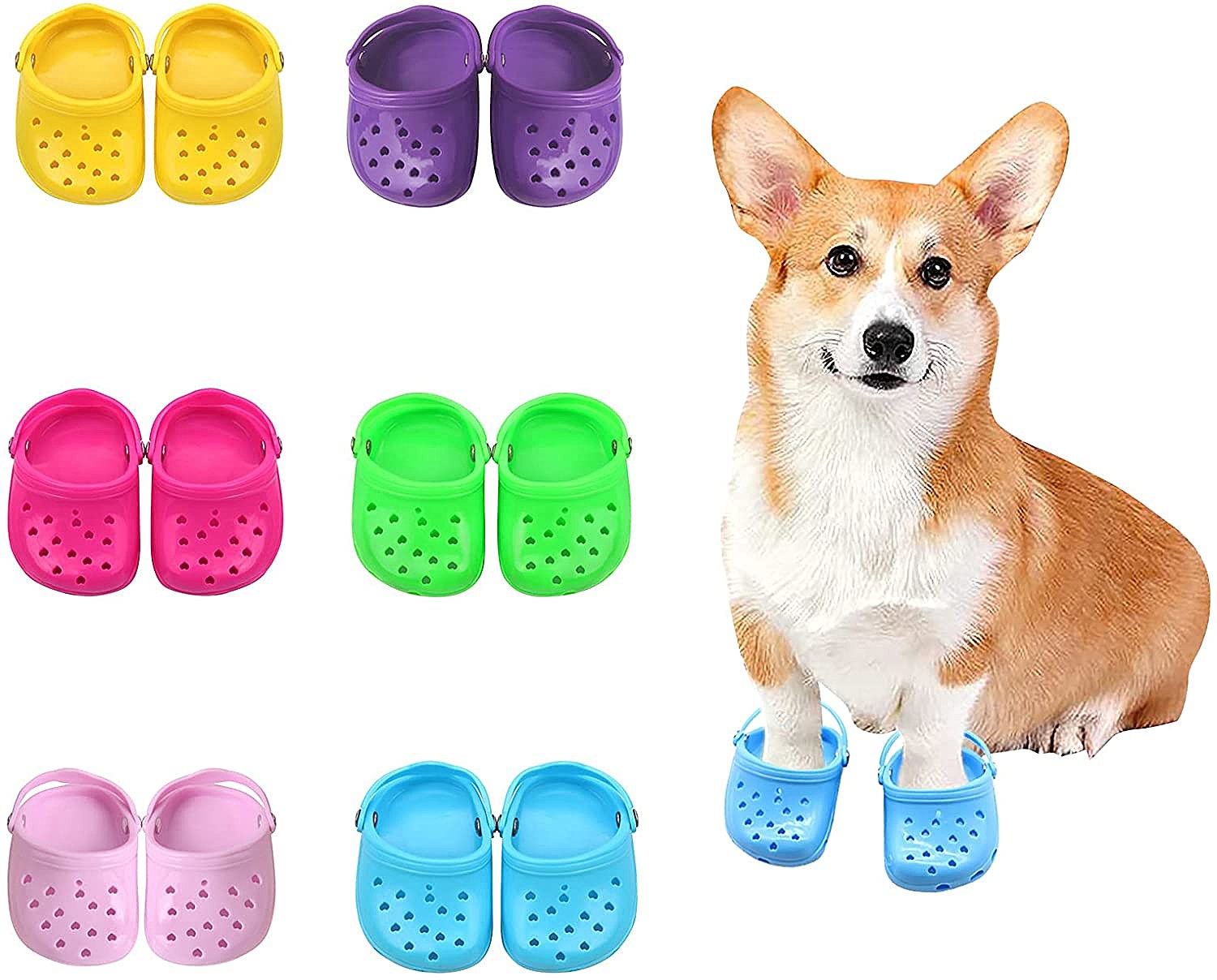 Crocs for Your Dog Are Now a Thing Thanks to Tiktok