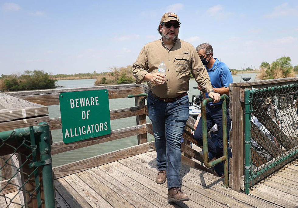 Senator Ted Cruz Posts Himself Fishing but Something Is a Bit Off