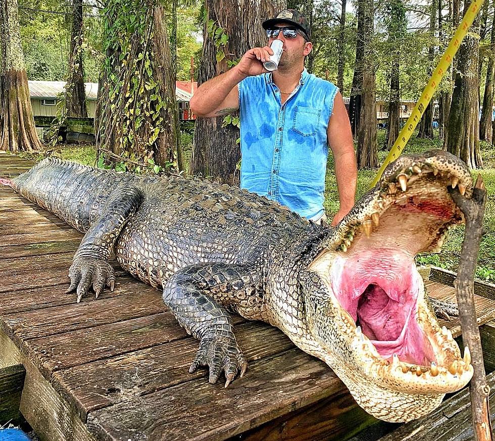 Country Singer Casey Peveto Snags a Monster Gator