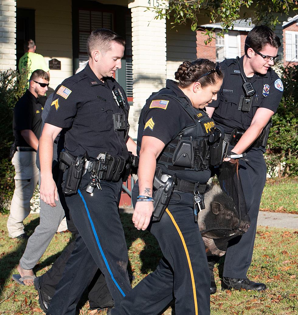 Pensacola Police Dept Captures Runaway Pig