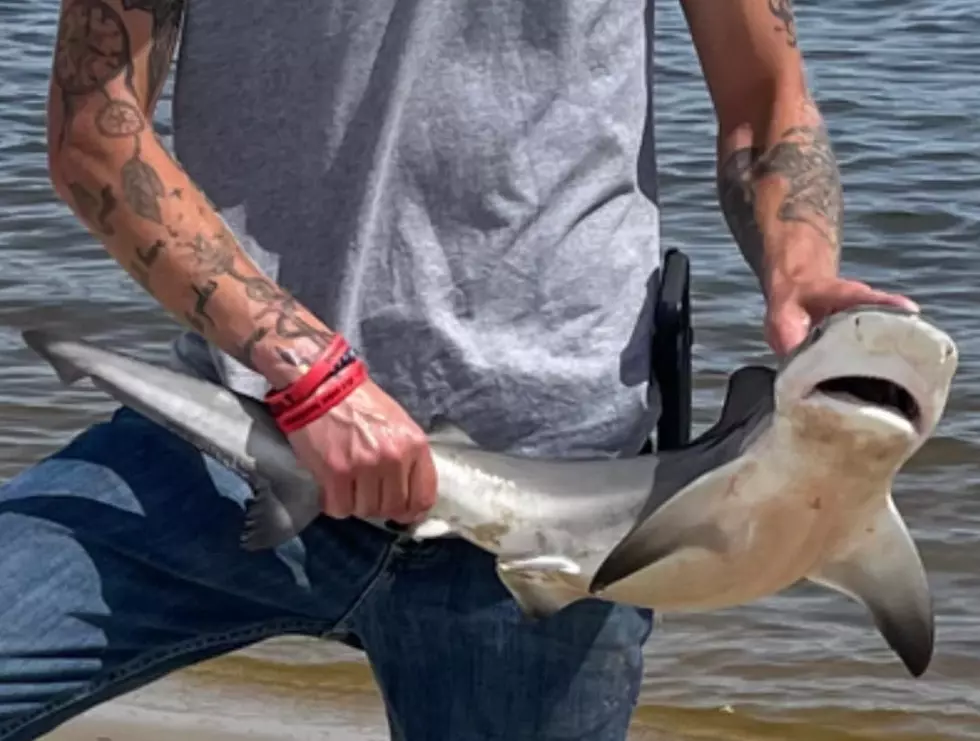 Starks Man Catches Shark Near 210 in Lake Charles