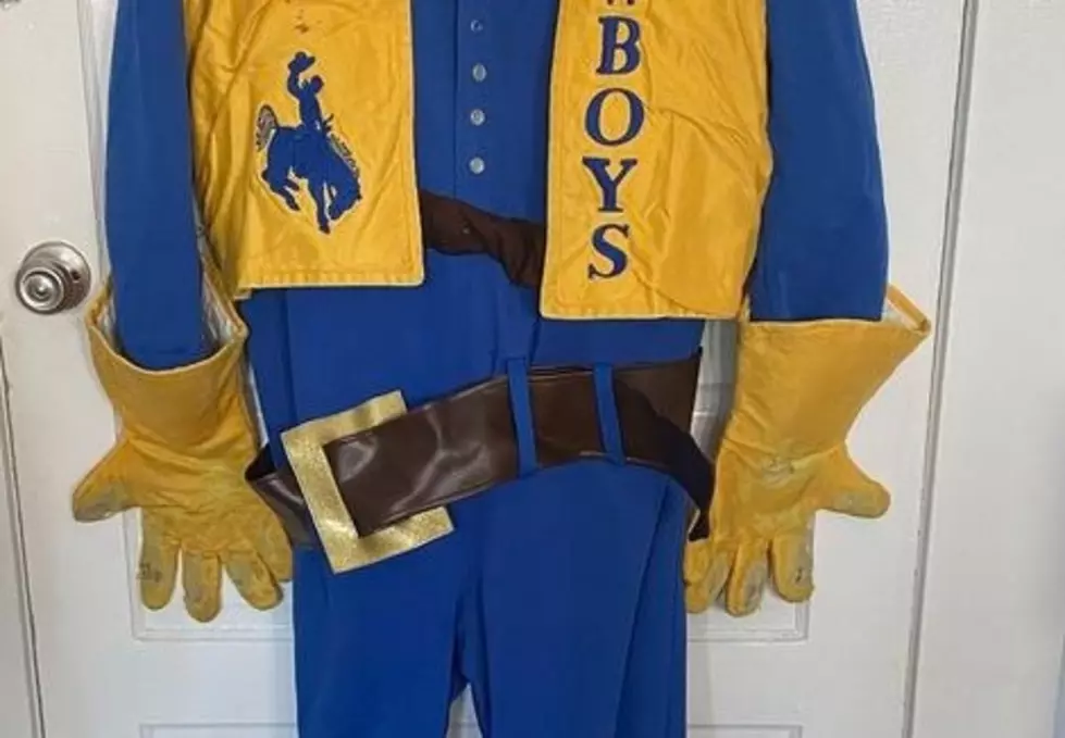 This Vintage McNeese Collection is For Sale With Rowdy Costume!