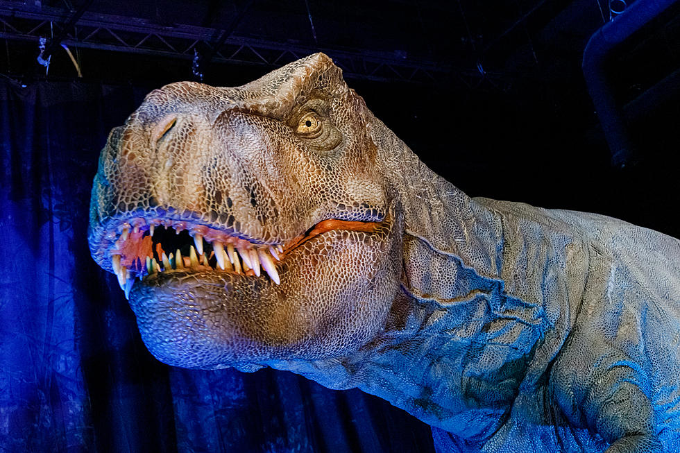 Dinosaur Will Take Over Lake Charles In June At The Civic Center