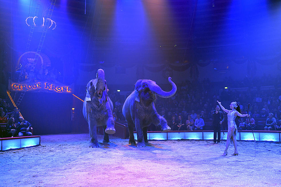 The Habibi Shrine Circus Is Coming To Lake Charles