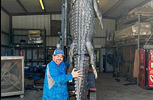 Watch As Louisiana Music Legend Jo-EL Sonnier Goes Alligator...