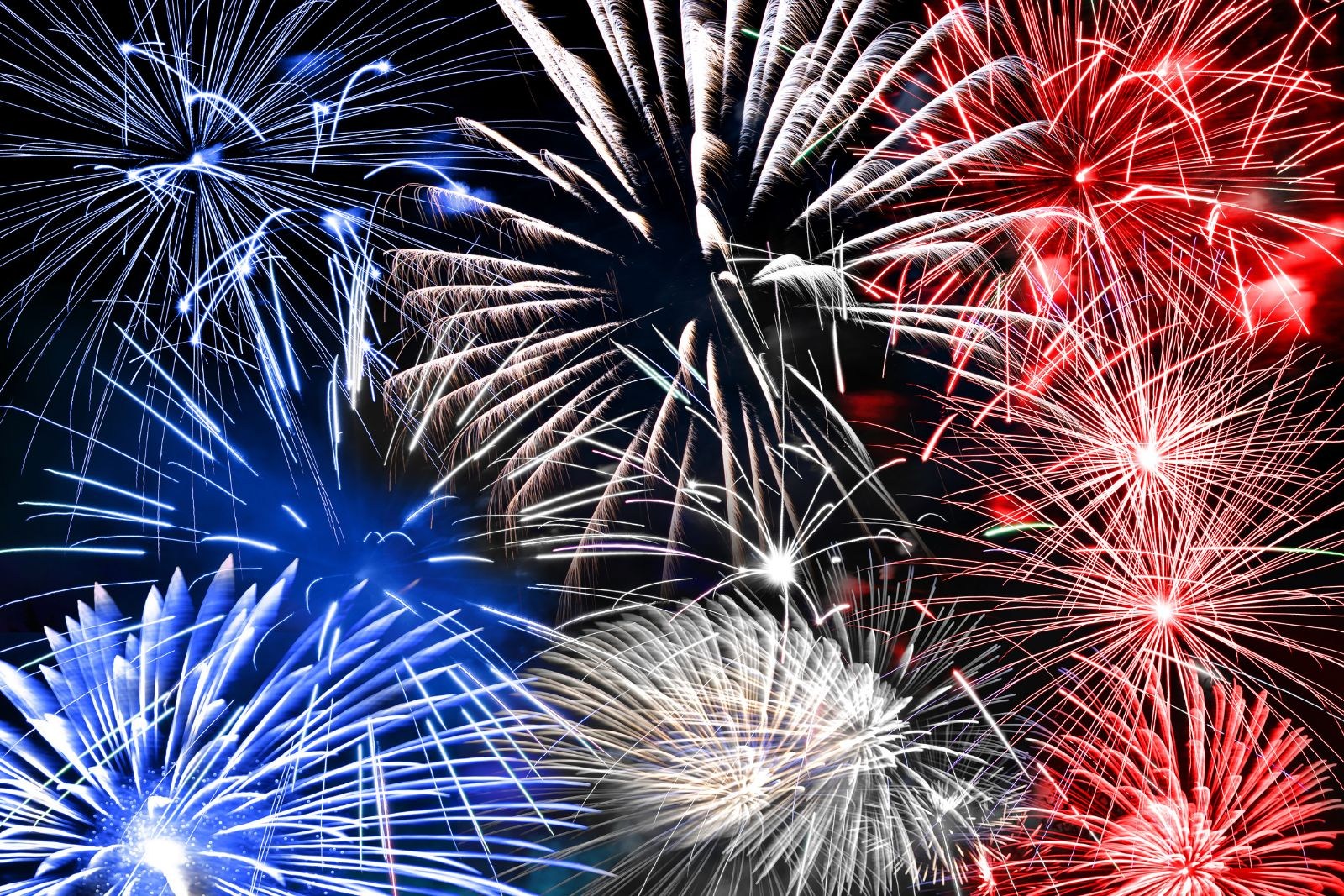 Before You Celebrate, Check This Holiday Forecast