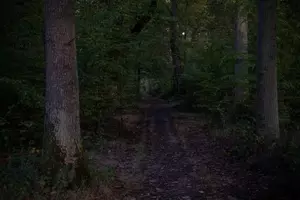 Louisiana’s Creepy Grunch Legend Might Keep You Up at Night
