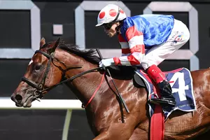 Delta Downs Kicks Off the 2026–2027 Thoroughbred Season