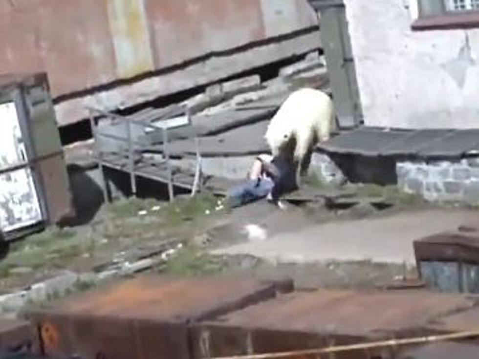Terrifying Polar Bear Attack Captured on Camera [VIDEO]