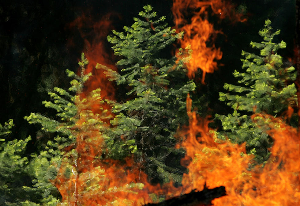 The Rumsey Gulch Fire Starts Near Phillipsburg